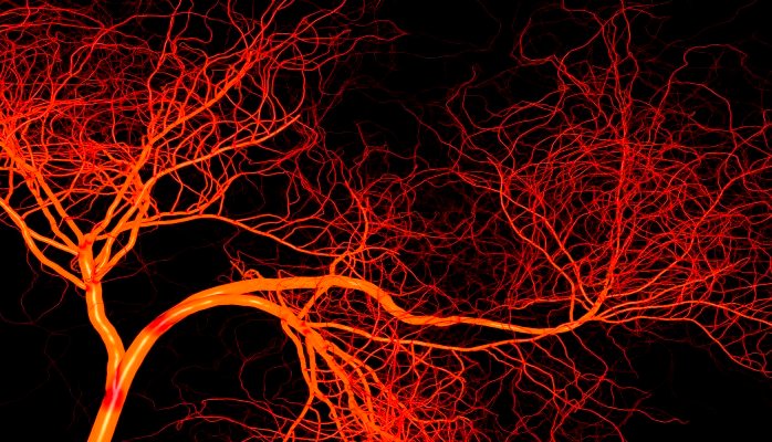 Angiogenesis & Ketahanan